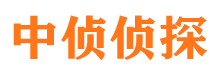 瑞安侦探社